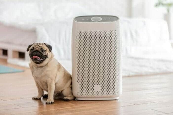 a pug sitting next to an air purifier